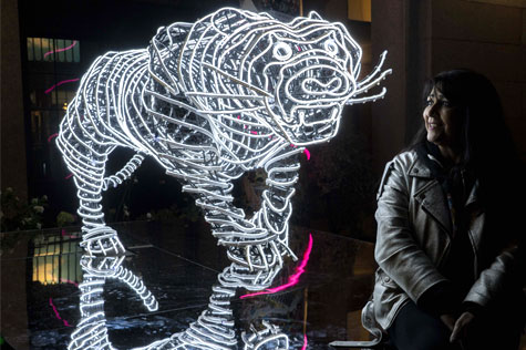 blue orchid hotel London