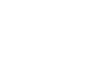 blue orchid hotels logo